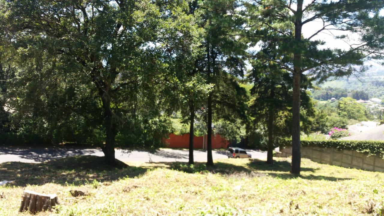 Terreno en venta, Bellas Luces, Santa Catarina Pínula